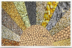 AGRICULTURAL PRODUCT