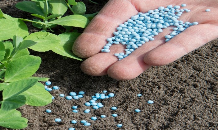 Fertilizers